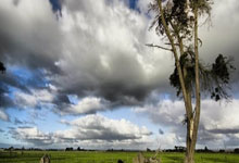 盖恩队在一场激动人心的比赛中打败对手赢得胜利