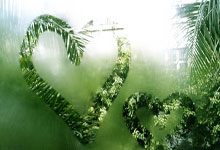 伯恩茅斯主场惨败埃弗顿，遇挫连败