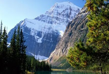 纷纷开花尽展才华，球艺精湛令人惊艳