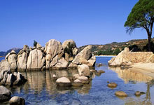 伯恩茅斯主场惨败埃弗顿，遇挫连败