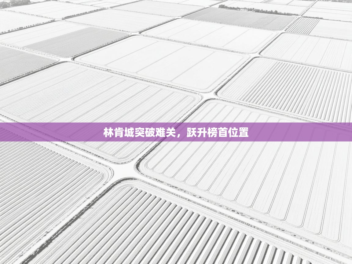 林肯城突破难关，跃升榜首位置