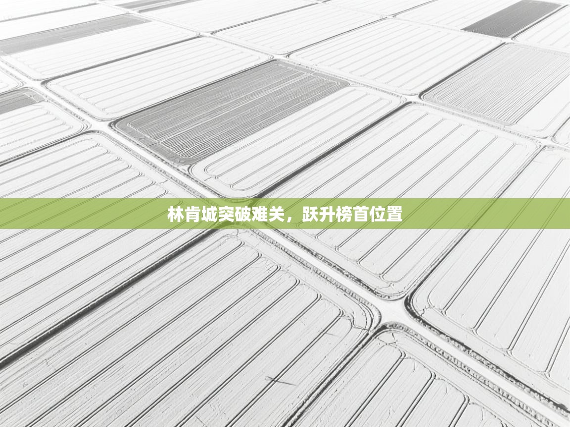 林肯城突破难关，跃升榜首位置  第2张