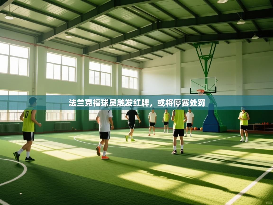 法兰克福球员触发红牌，或将停赛处罚  第2张