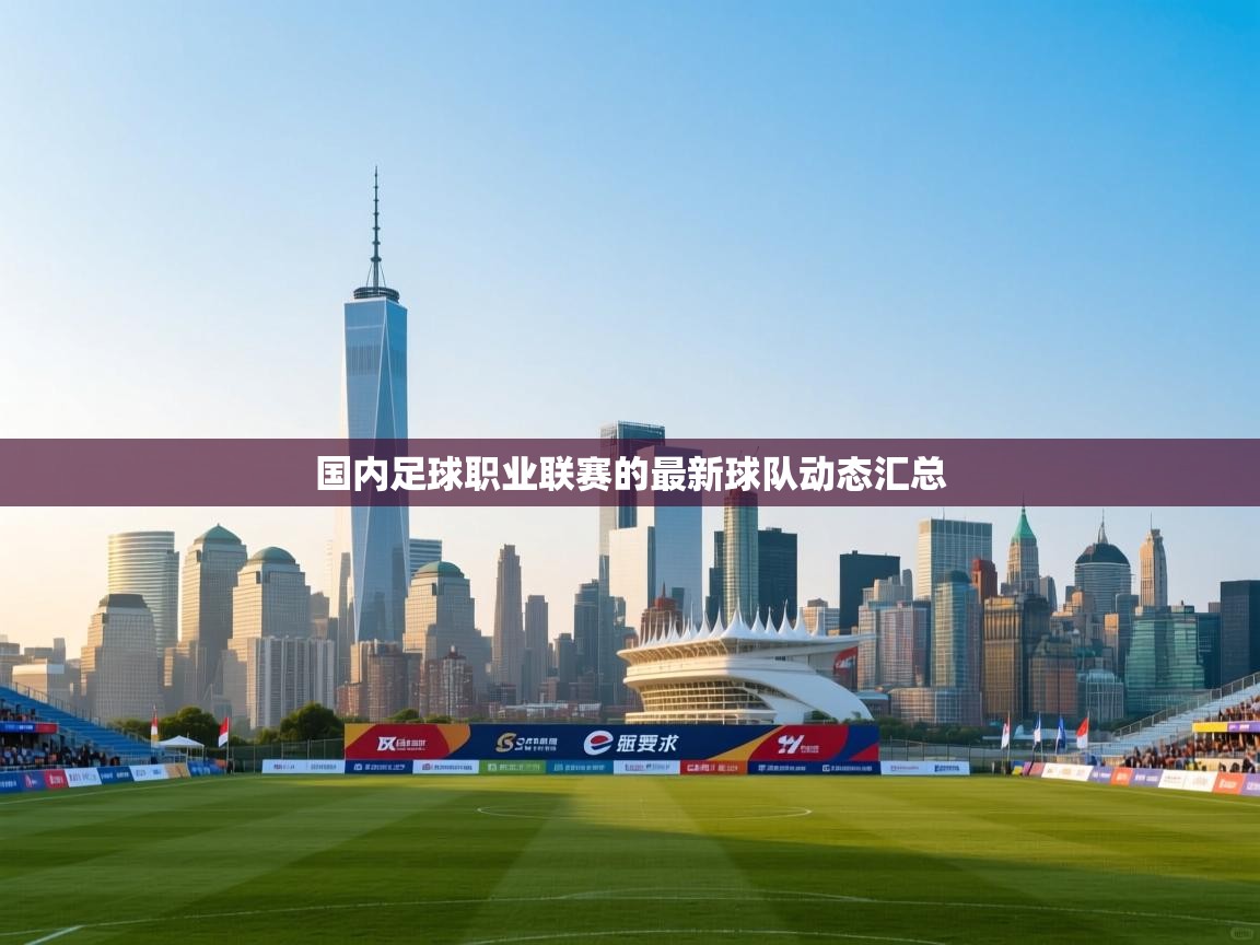 国内足球职业联赛的最新球队动态汇总 第2张