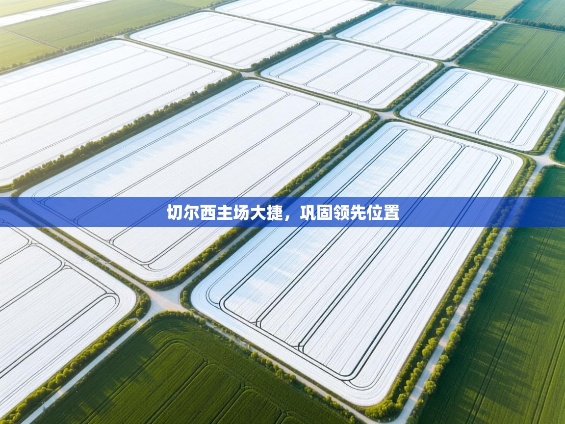 切尔西主场大捷,巩固领先位置 第2张