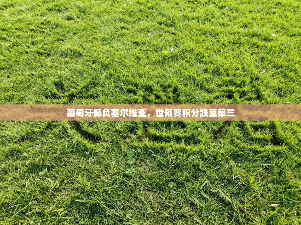 葡萄牙憾负塞尔维亚,世预赛积分跌至第三