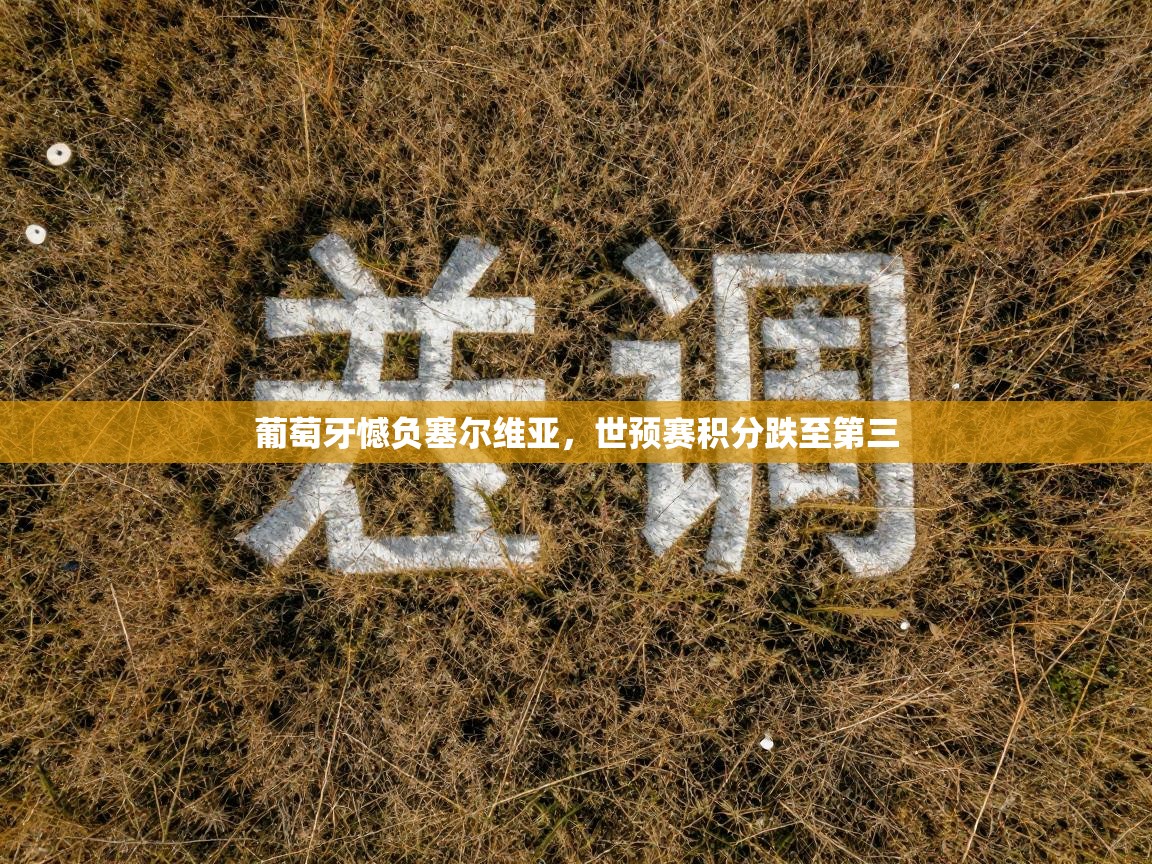 葡萄牙憾负塞尔维亚,世预赛积分跌至第三 第2张